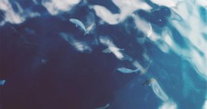 The Future of Cloud Computing in Pakistan